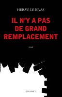   Il n'y a pas de "grand remplacement"