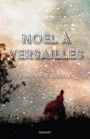   No&euml;l &agrave; Versailles