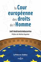 La Cour européenne des droits de l'Homme (N)