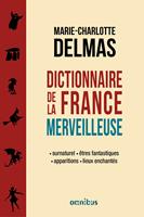   Dictionnaire de la France merveilleuse