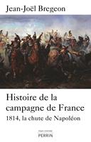 Histoire de la campagne de France - La chute de Napoléon