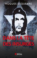   Dans la tête des insurgés