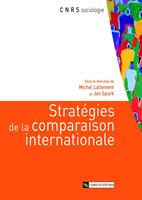   Stratégies de la comparaison internationale