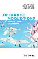   De quoi se moque-t-on ? Satire et liberté d'expression
