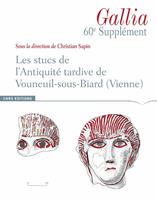  Les stucs de l’antiquité tardive de Vouneuil-sous-Biard (Vienne)