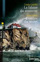   La falaise du souvenir - L'ombre du secret