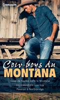   Cow-boys du Montana