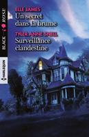   Un secret dans la brume - Surveillance clandestine