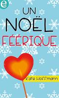   Un No&euml;l f&eacute;&eacute;rique