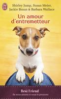   Un amour d'entremetteur