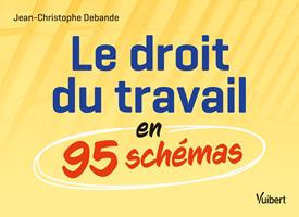   Le droit du travail en 95 sch&eacute;mas