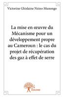   La mise en œuvre du Mécanisme pour un développement propre au Cameroun