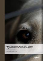 Renaissance d'une âme brisée