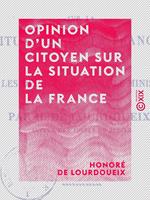   Opinion d'un citoyen sur la situation de la France - Et particuli&egrave;rement sur les d&eacute;fections dans le minist&egrave;re