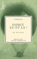   Esprit es-tu l&agrave; ?
