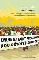   Pwofitasyon - Luttes syndicales et anticolonialisme en Guadeloupe et en Martinique