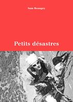   Petits désastres