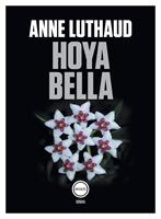   Hoya bella