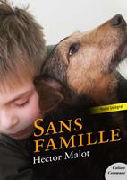   Sans famille