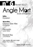   Angle Mort numéro 6