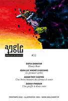   Angle Mort numéro 11