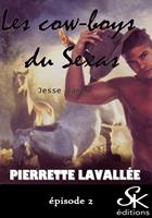   Les cow-boys du Sexas 2
