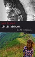   Little Bighorn