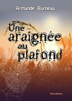   Une araignée au plafond