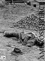   8 nouvelles du front