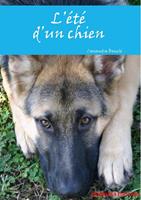   L'été d'un chien