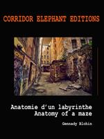   Anatomie d'un labyrinthe
