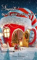   Sapristi ! Ou est pass&eacute; le P&egrave;re No&euml;l ?