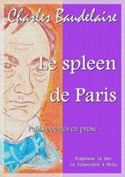   Le spleen de Paris