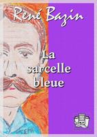   La sarcelle bleue