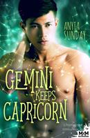   Gemini Keeps Capricorn