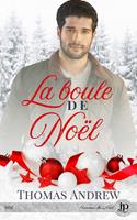   La boule de Noël