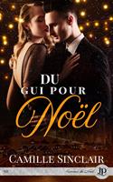   Du gui pour noël
