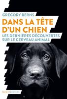   Dans la tête d'un chien