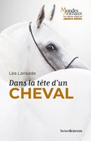   Dans la tête d'un cheval