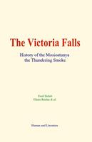   The Victoria Falls