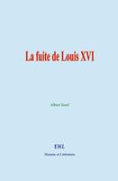   La fuite de Louis XVI