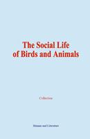   The Social Life of Birds and Animals