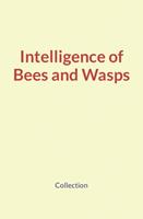   Intelligence of Bees and Wasps