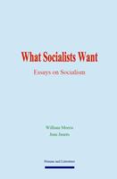   What Socialists Want