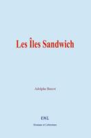   Les Îles Sandwich