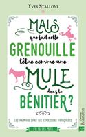   Mais que fait dans le bénitier cette grenouille têtue comme une mule ?