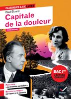   Capitale de la douleur