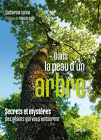   Dans la peau d'un arbre