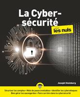   La cybers&eacute;curit&eacute; Pour les Nuls