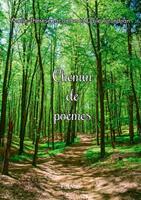   Chemin de poème